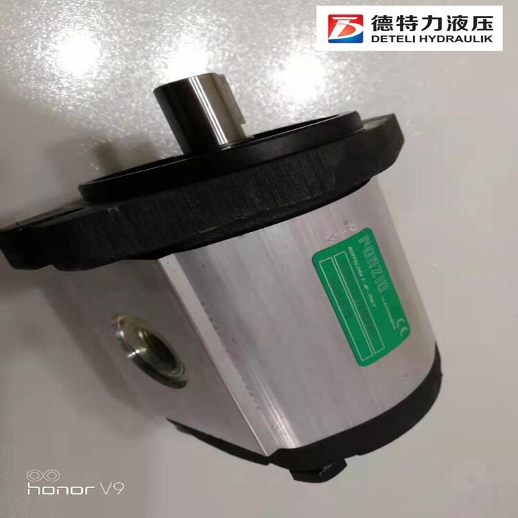 意大利羅茨ronzio單聯(lián)泵、雙聯(lián)泵、三聯(lián)泵、四聯(lián)泵