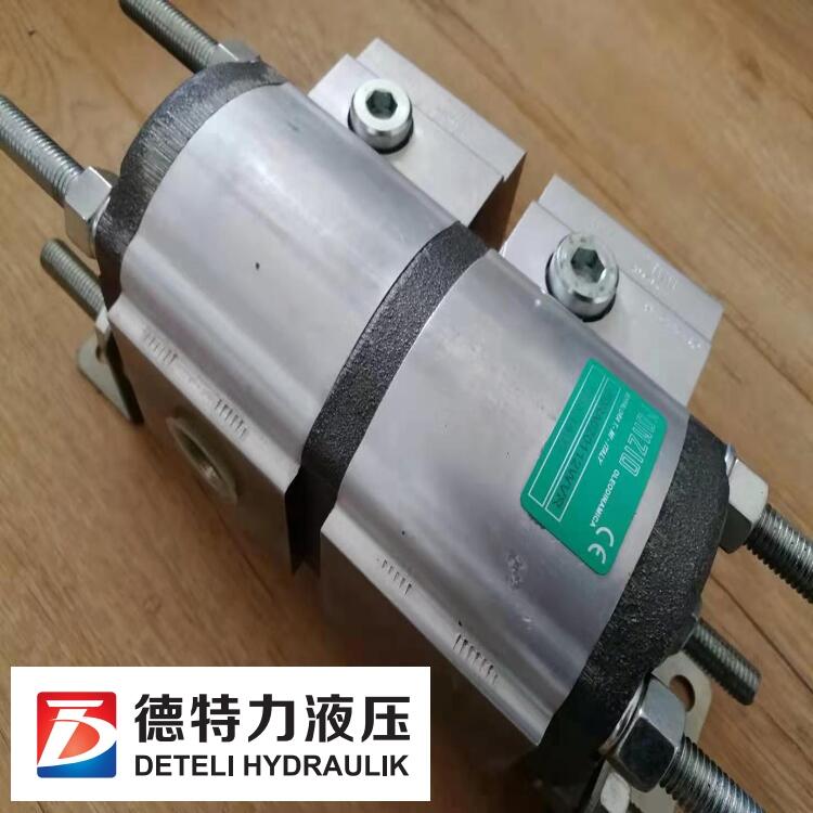 現(xiàn)貨意大利RONZIO分流馬達FDRA020172NV價格
